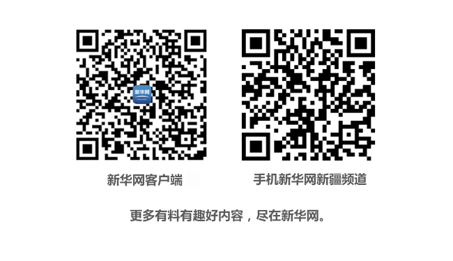 自治区增值税发票管理系统2.0版本月底上线